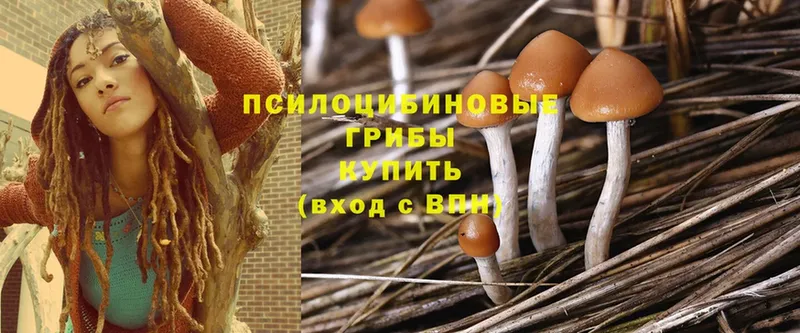 Псилоцибиновые грибы GOLDEN TEACHER  Мегион 